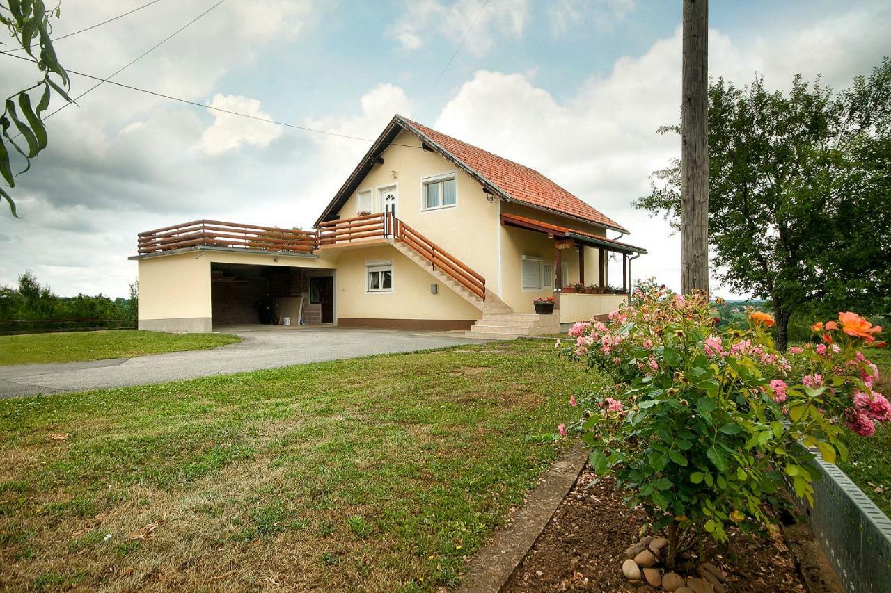 Apartment Josipa Selište Drežničko Buitenkant foto